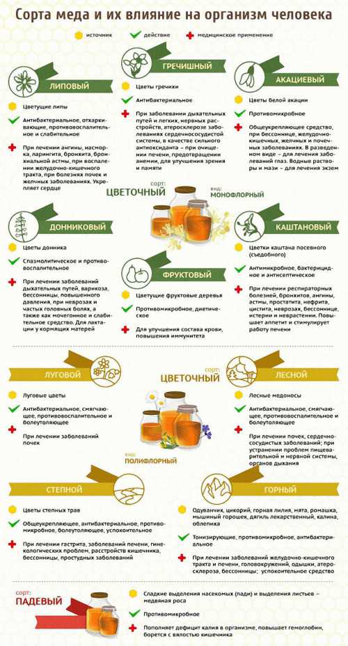 полезные овощи: самые важные продукты для здоровья человека